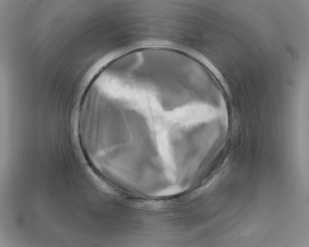 X0000113051245200910081225