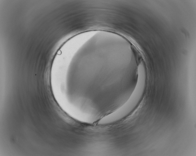 X0000113051246200910081225
