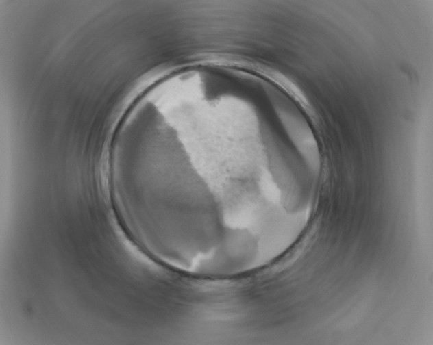 X0000113051247200910081225