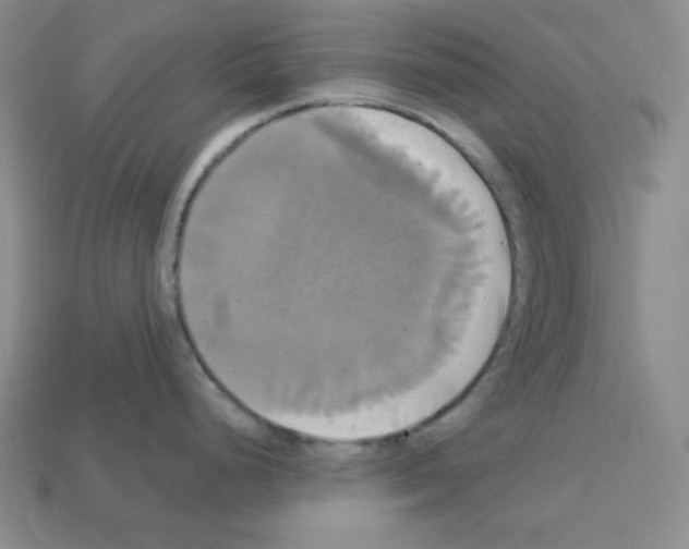 X0000113051248200910081225