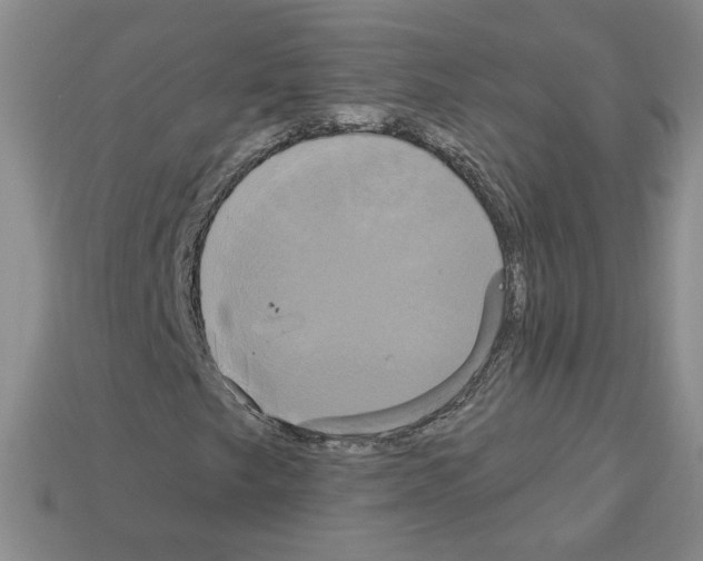 X0000113051249200910081224