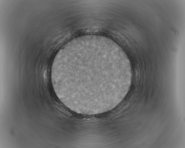 X0000113051250200910081224
