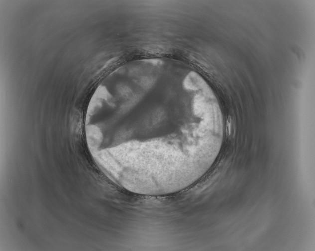 X0000113051251200910081224