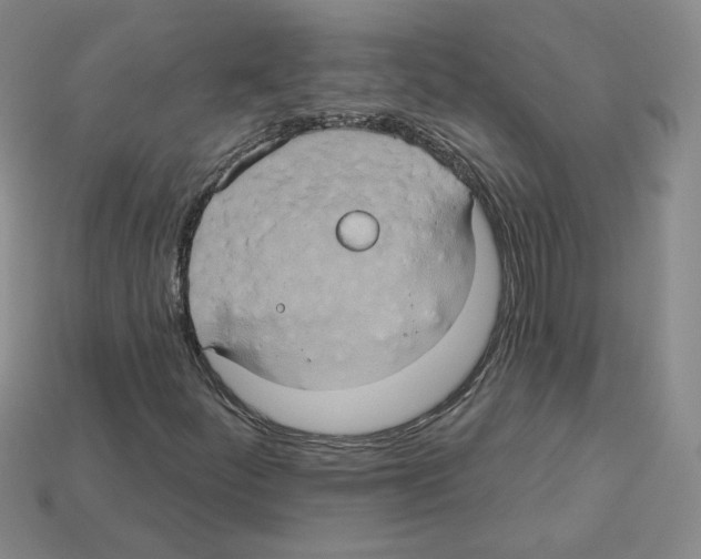 X0000113051252200910081224