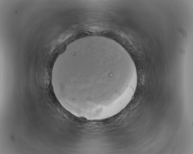 X0000113051253200910081224