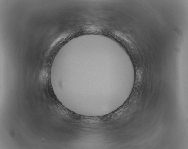 X0000113051254200910081224