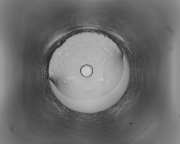 X0000113051255200910081224