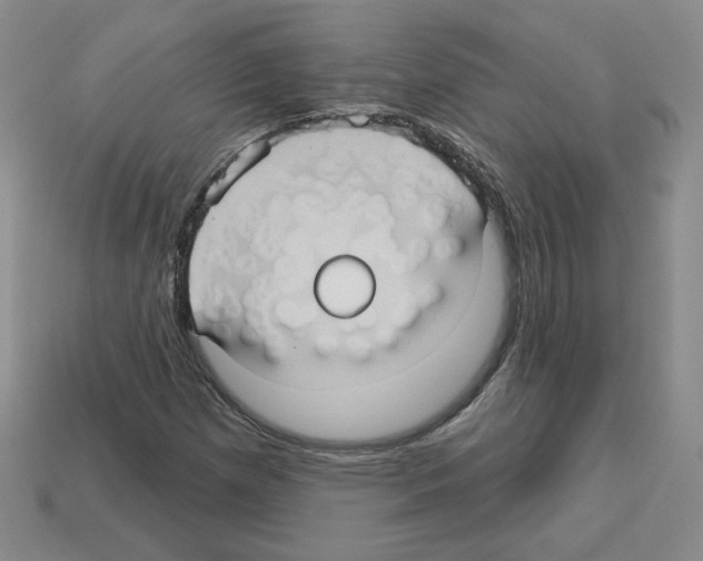 X0000113051257200910081224