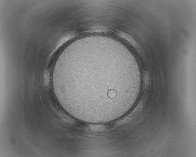 X0000113051258200910081224