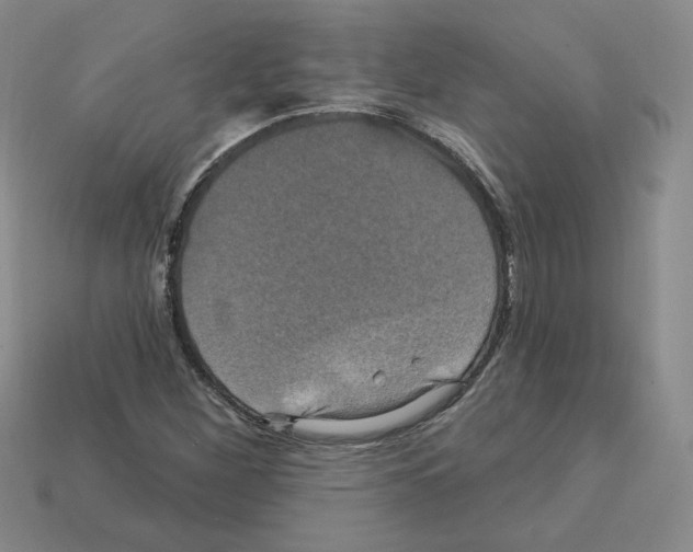 X0000113051260200910081224