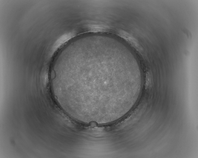 X0000113051261200910081224