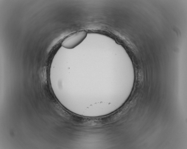 X0000113051262200910081224
