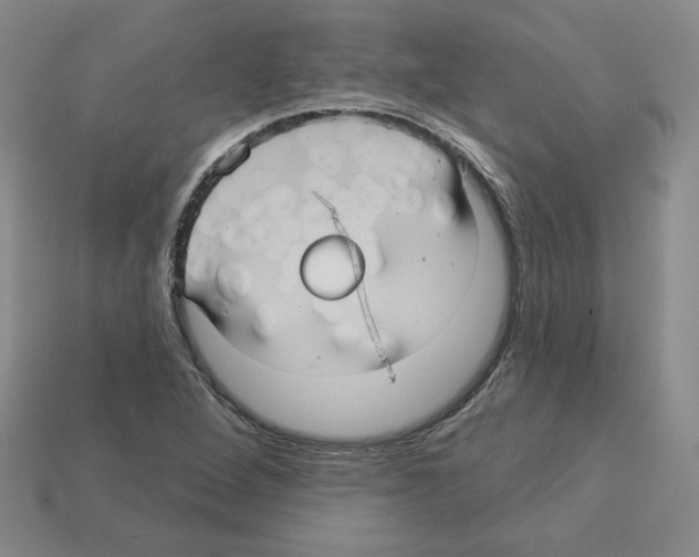 X0000113051264200910081224