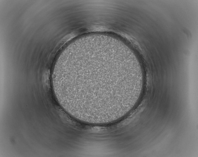 X0000113051265200910081224