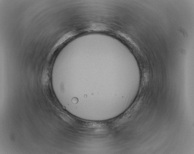 X0000113051266200910081224