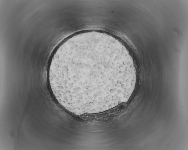 X0000113051268200910081224