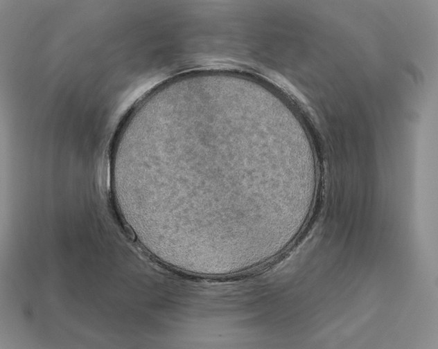 X0000113051269200910081224