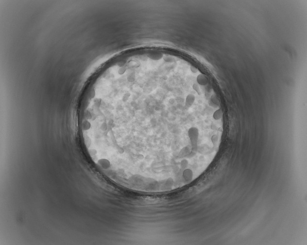 X0000113051271200910081224