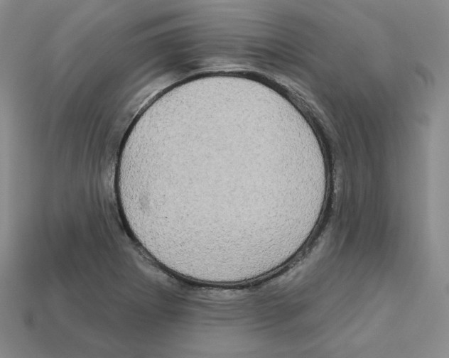X0000113051273200910081224