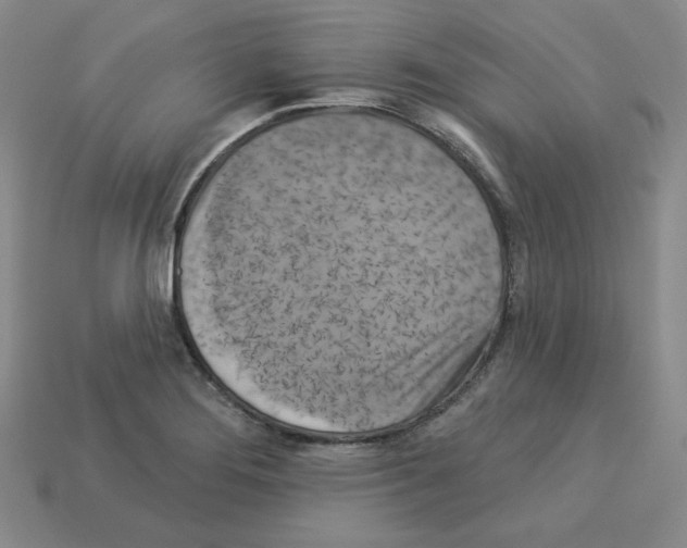 X0000113051276200910081224