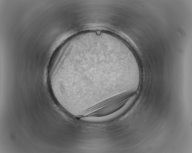 X0000113051277200910081224