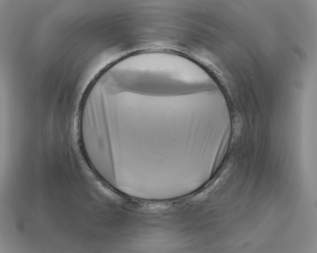 X0000113051278200910081224