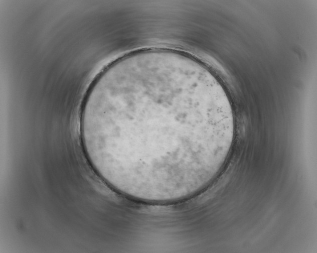 X0000113051280200910081224