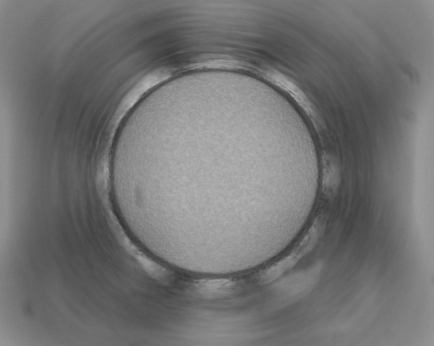 X0000113051282200910081224
