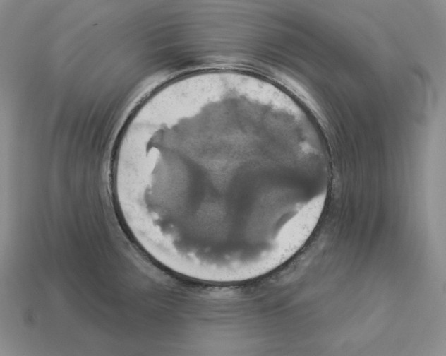X0000113051283200910081224
