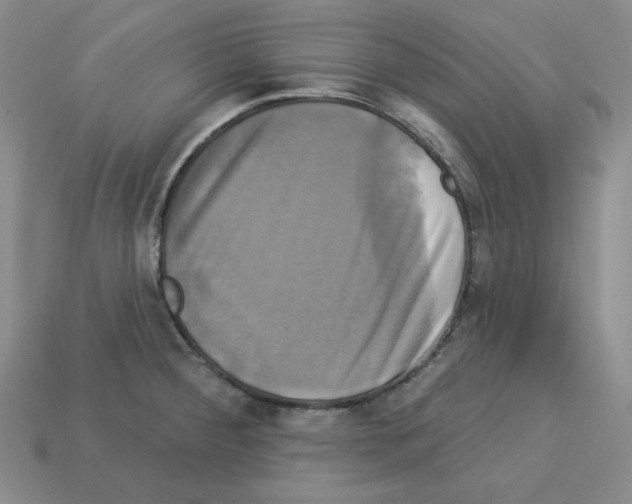 X0000113051284200910081224