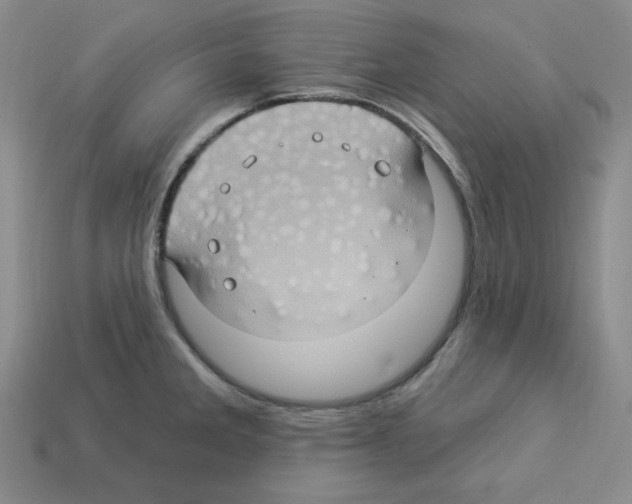 X0000113051285200910081224