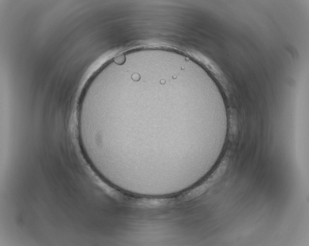 X0000113051286200910081224