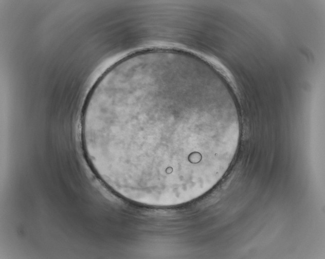 X0000113051287200910081224