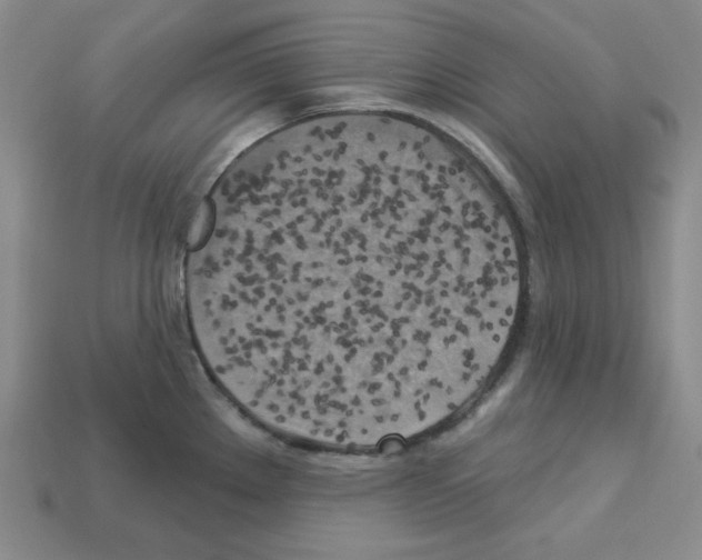 X0000113051289200910081224
