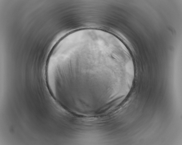 X0000113051291200910081224