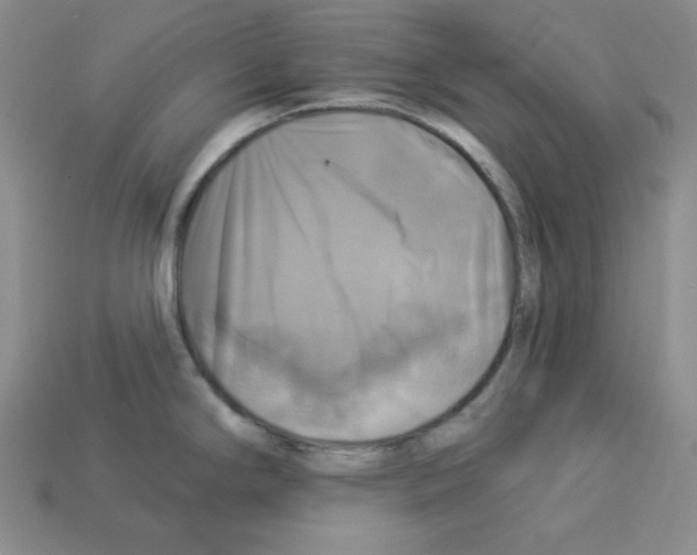 X0000113051294200910081223