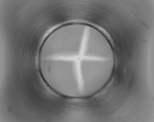 X0000113051295200910081223