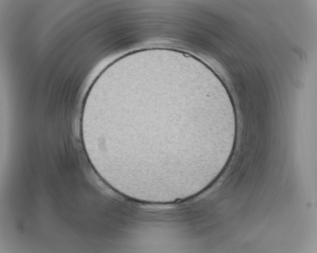 X0000113051296200910081223