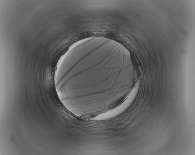 X0000113051298200910081223