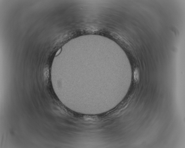 X0000113051299200910081223