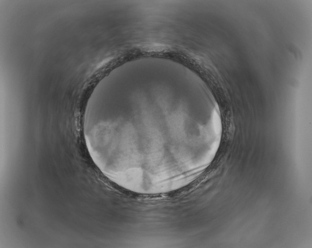 X0000113051301200910081223