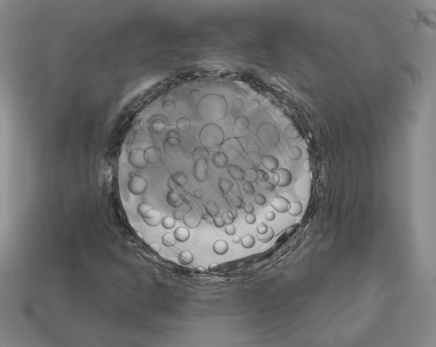 X0000113051302200910081223