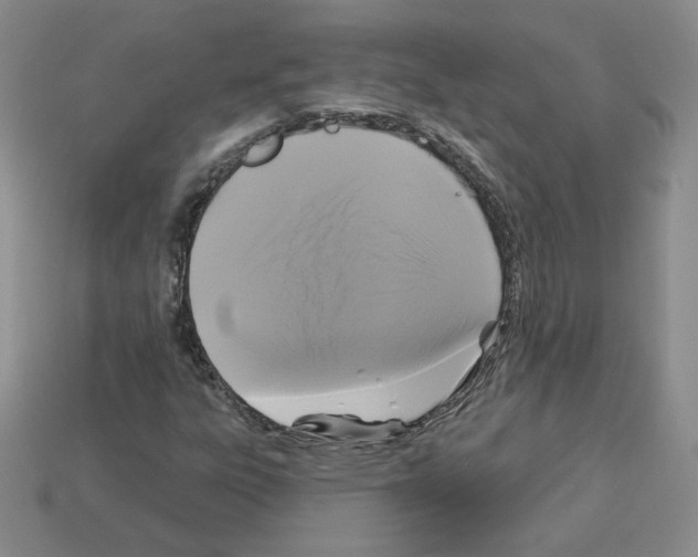X0000113051303200910081223