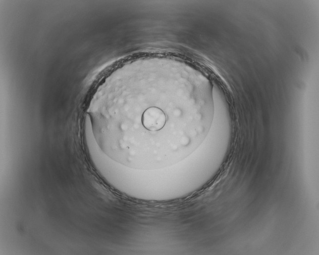 X0000113051304200910081223