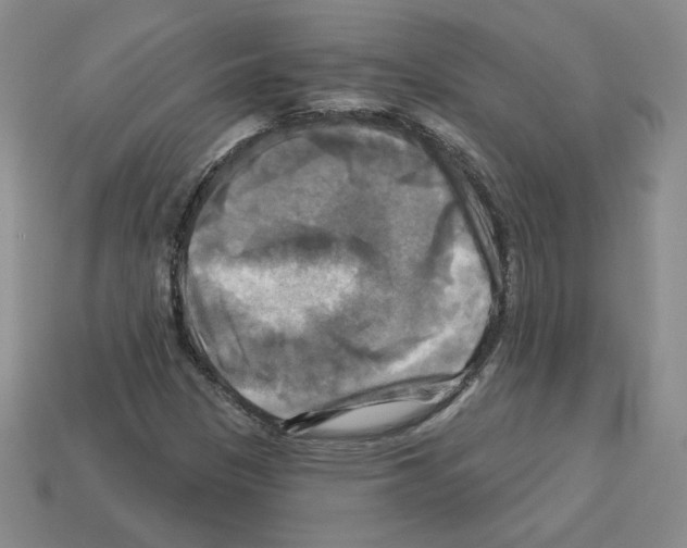 X0000113051305200910081223