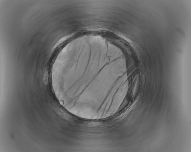 X0000113051306200910081223