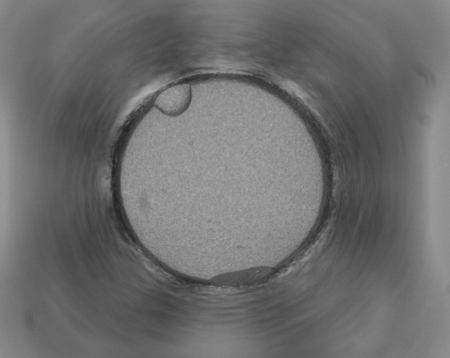X0000113051307200910081223