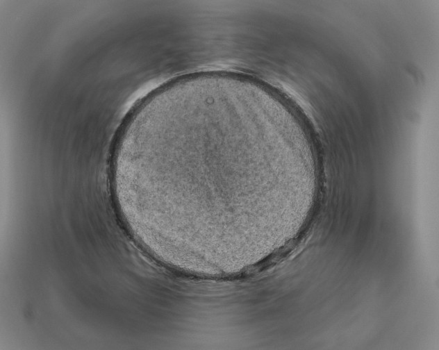 X0000113051308200910081223