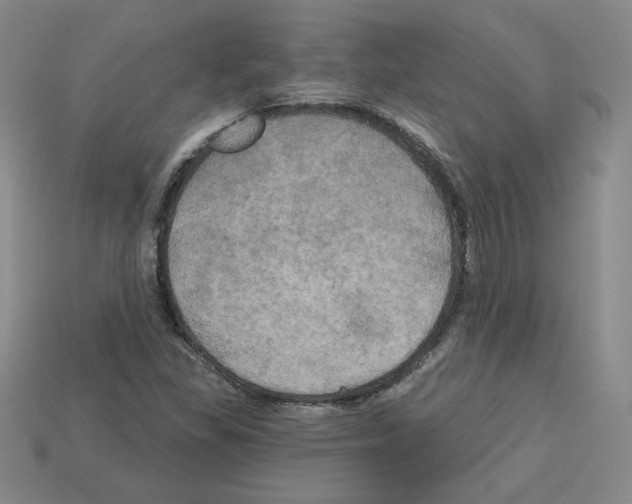 X0000113051309200910081223