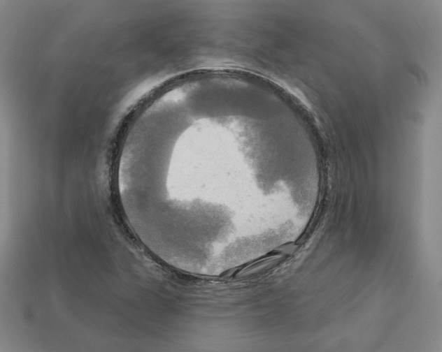 X0000113051311200910081223